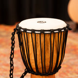 Meinl HDJ4-M Headliner Djembe | Drum Republic