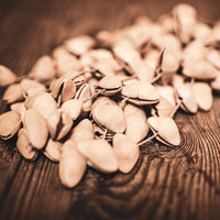 Meinl Sonic Energy Kenari Shaker - Large SKRL