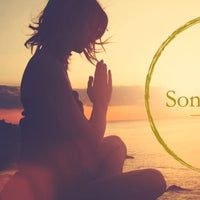 Buy Meinl Sonic Energy Sound Healing instruments at Drum Republic Australia