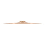 Meinl PA19MC