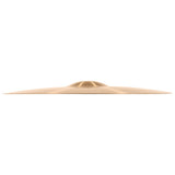 Meinl PA20MC