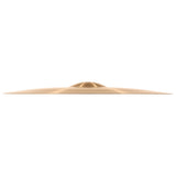 Meinl Pure Alloy PA22MR
