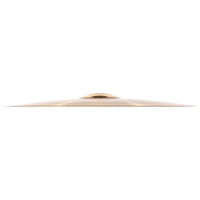 Meinl PAC22MTR