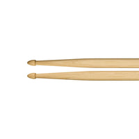 Meinl Standard Long 7A American Hickory Drumsticks SB121 drum stick shoulder close up