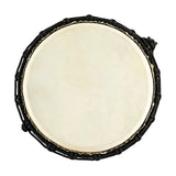 Top view of Meinl HDJ1-M 10" Headliner Congo Series Djembe showing durable synthetic drumhead and traditional rope tensioning system