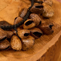 close up of Meinl Pangi Waterfall Shaker 40 Seeds WA5 displayed on wooden block showing natural Pangi seed nutshells and handcrafted construction details