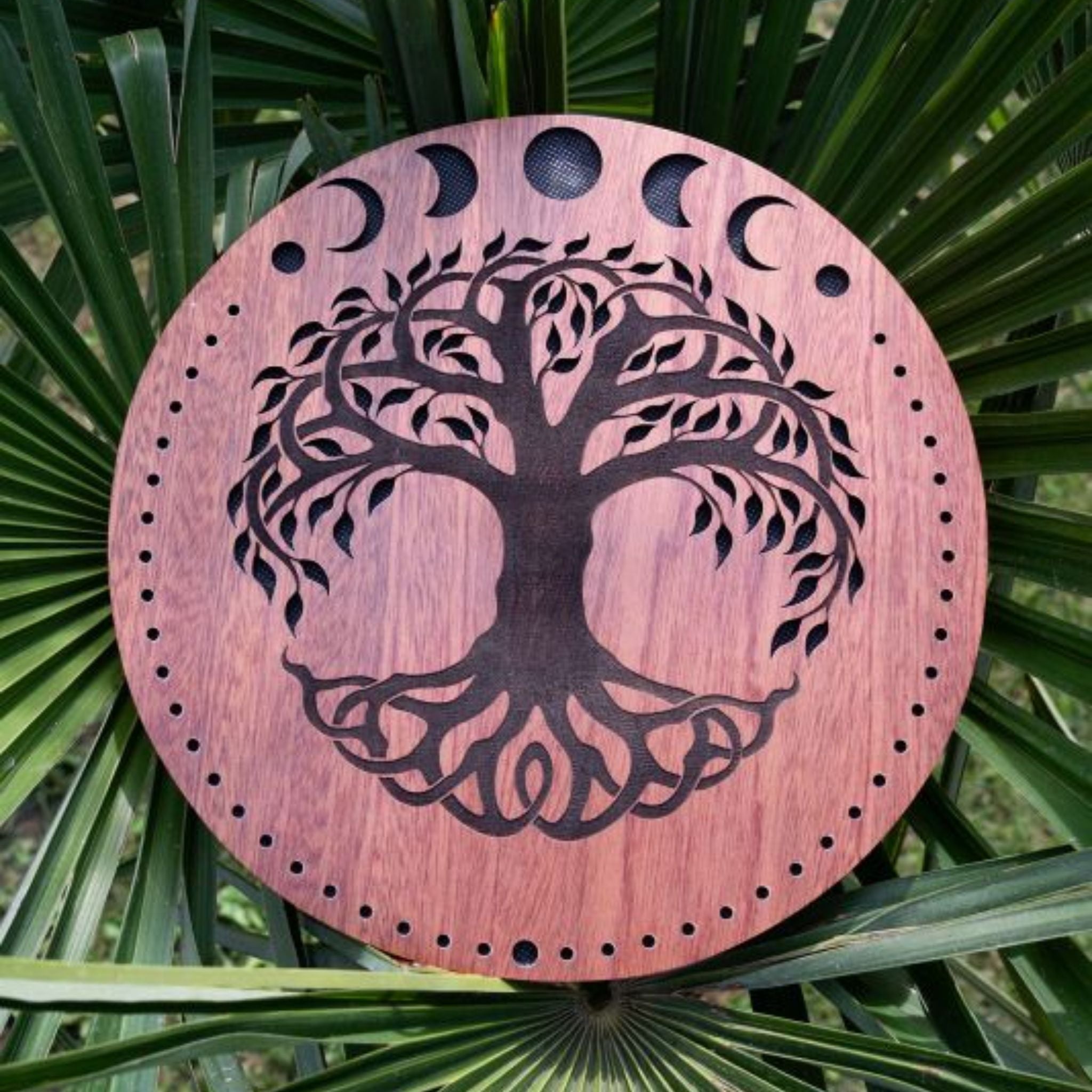 10 inch rain disk resting outdoors on palm tree branch showing carved Moon Phases and Tree of Life surface in natural environment