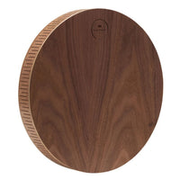 back view of 10 inch rain disk showing smooth wooden rear surface and lightweight circular construction