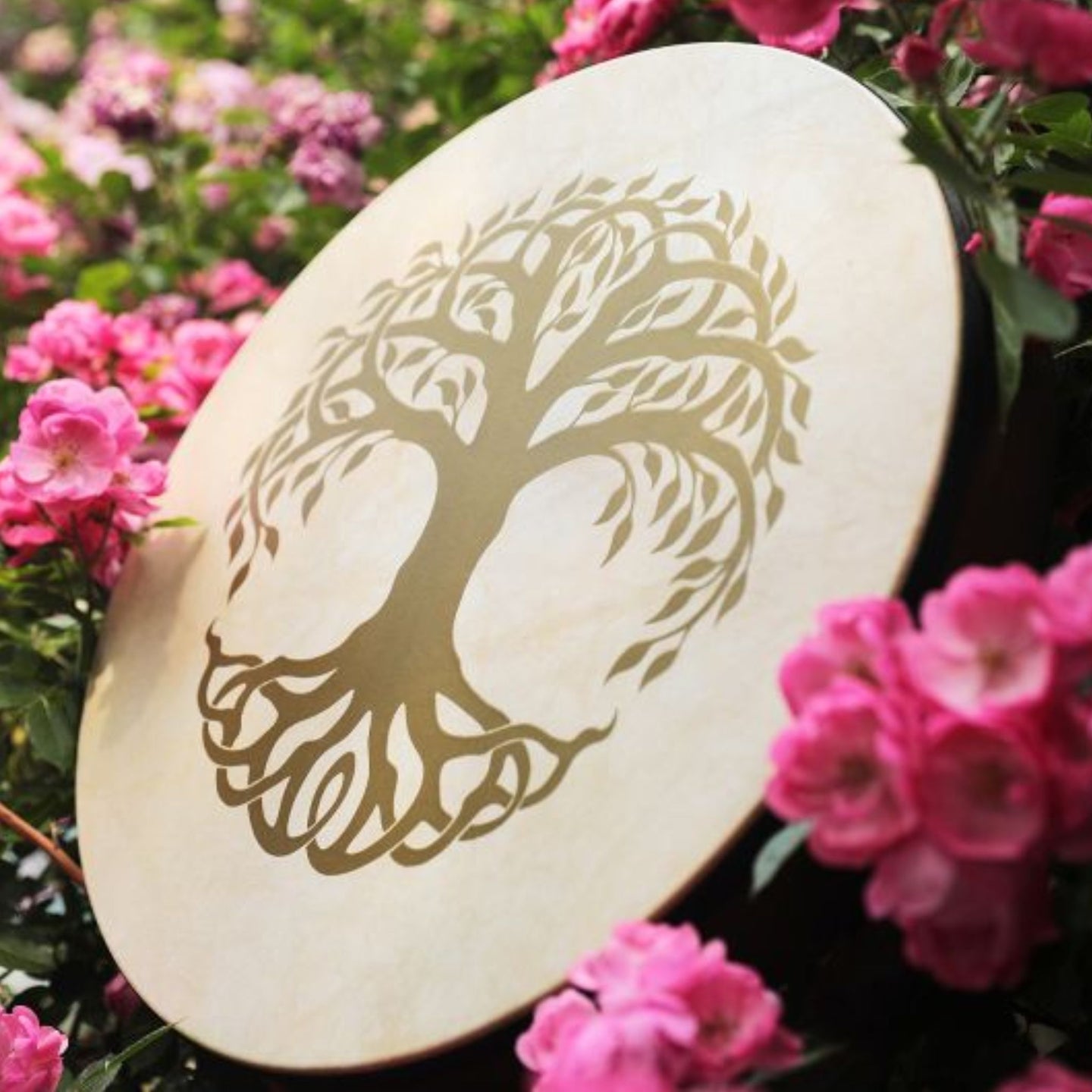 Meinl Sonic Energy Frame Drum 16 inch Tree of Life HD16WB-TOL displayed outdoors among pink flowers showing natural goat skin head and engraved Tree of Life design