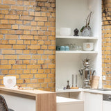 Meinl Sonic Energy white frosted crystal singing bowls displayed in a rustic kitchen setting with one bowl on a wooden bench and additional bowls arranged in a cabinet, showcasing crystal singing bowls as both sound therapy instruments and decorative interior pieces.