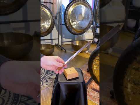Meinl Sonic Energy Planetary Therapy Tuning Fork Day & Night Set TTF-SET-2 demonstrating the Earth Year 136.10 Hz and Synodic Day 194.18 Hz tuning forks for sound therapy, meditation, relaxation, and professional wellness practice.